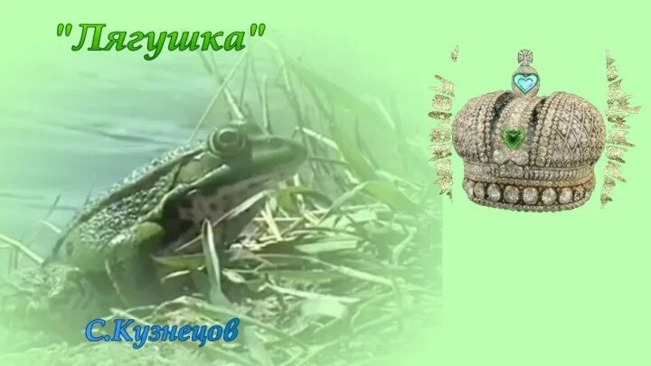 Песенка про жабу. Три желания лягушка. Песня про лягушку желания в исполнении. Песня лягушка. Песня про лягушку желания в исполнении.