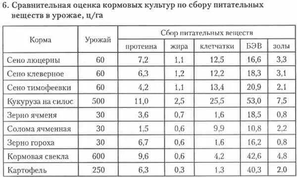 Основные группы кормов. Химический состав кормов для сельскохозяйственных животных. Питательность кормов. Состав и питательность кормов. Оценка питательности кормов.