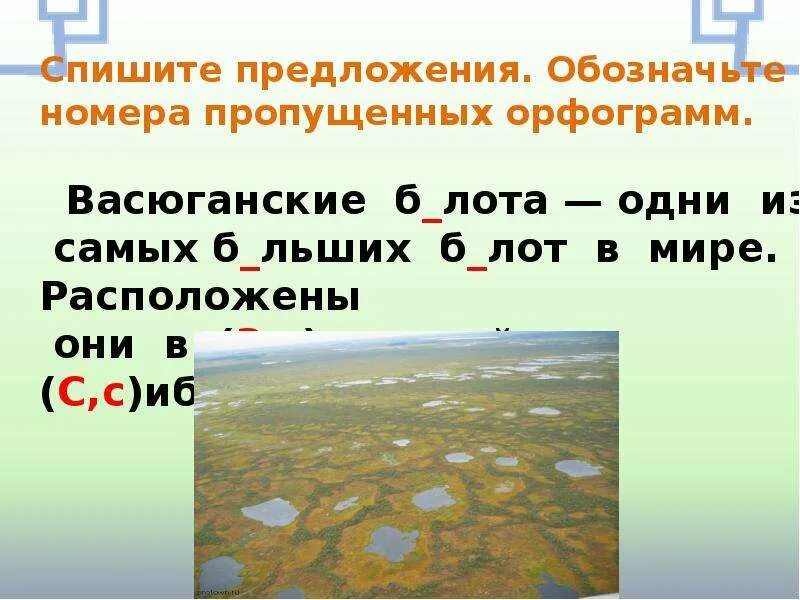 Болото составить слова. Словарное слово болото 3 класс. Словарная работа со словом болото. Болото лексическое значение. Лексическое значение слова болото 2 класс.