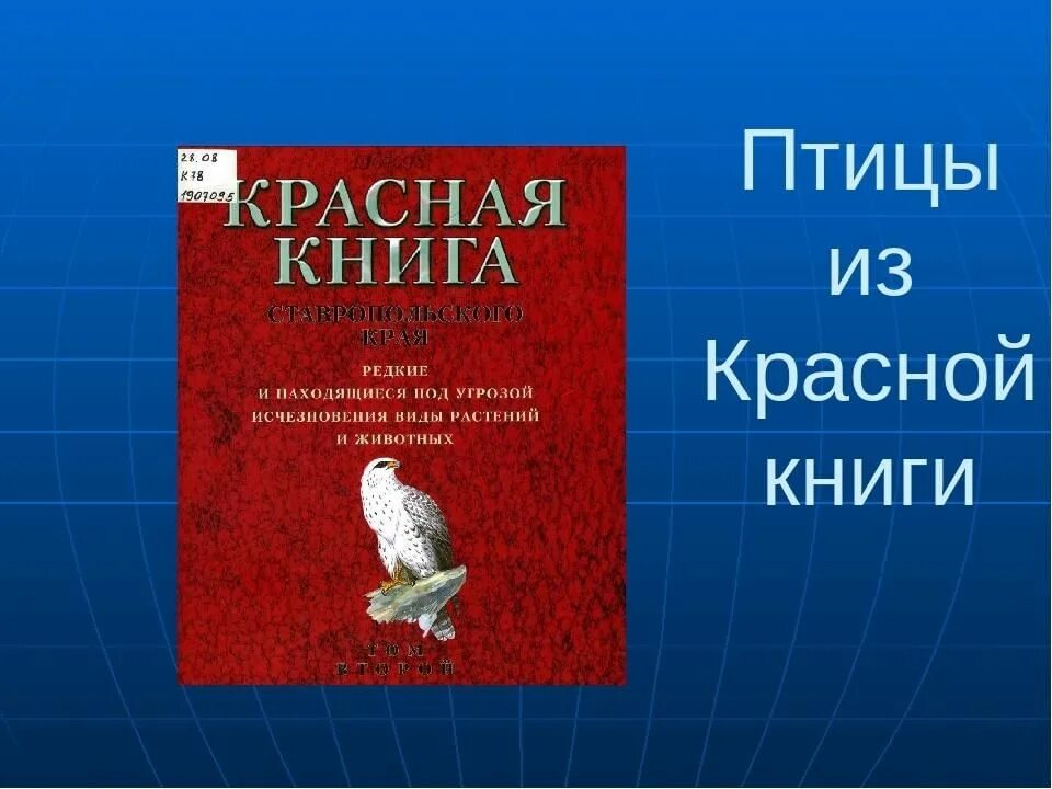 Красная книга список птиц. Птицы красной книги. Птицы красной книги России. Птицы из красной книги 2 класс.