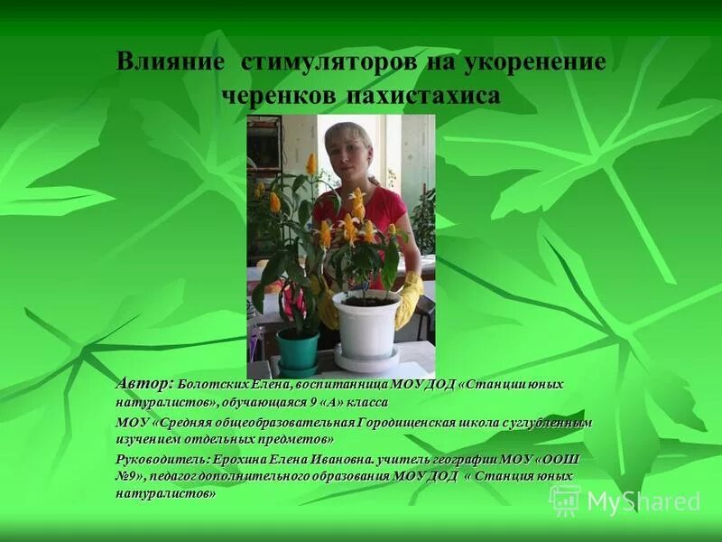 цель создания станции юных натуралистов. экологическое просвещение в ссср. презентация станция юных натуралистов. цели и задачи программы дополнительного образования. эмблема омской областной станции юных натуралистов.