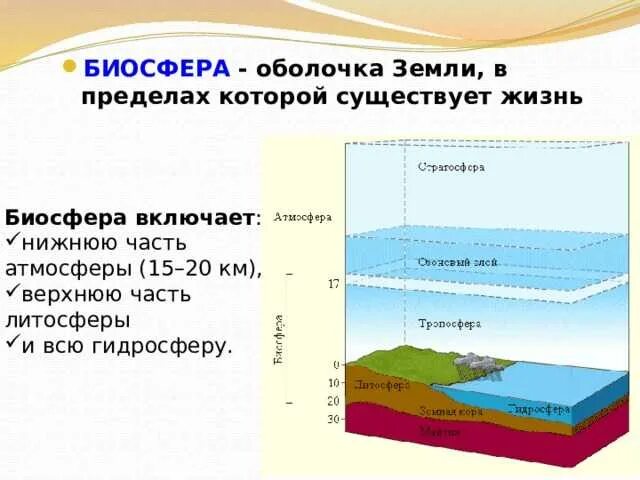 Литосфера гидросфера атмосфера Биосфера. Оболочки земли Биосфера, атмосфера. Нижняя часть биосферы и литосфера. Оболочки земли гидросфера Биосфера. Связь биосферы с литосферой