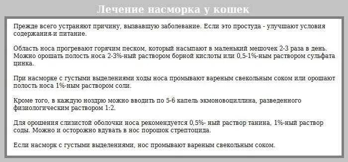 Чем вылечить насморк у кота в домашних условиях. Насморк у кошки чем лечить. Сопли у кота чем лечить в домашних условиях. Чем лечить насморк у кота. Чем лечить насморк у кота в домашних