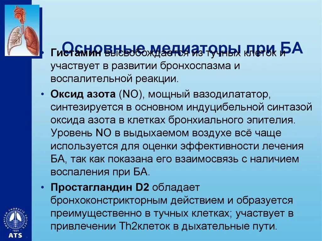 Оксид азота в выдыхаемом воздухе. Медиаторы бронхиальной астмы. Медиаторы, вызывающие бронхоспазм при бронхиальной астме. Исследование оксида азота в выдыхаемом воздухе. Медиаторы воспаления при бронхиальной астме.