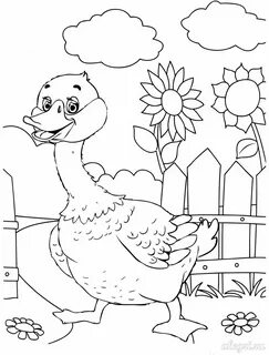 Гусь. Раскраска для детей дошкольников
