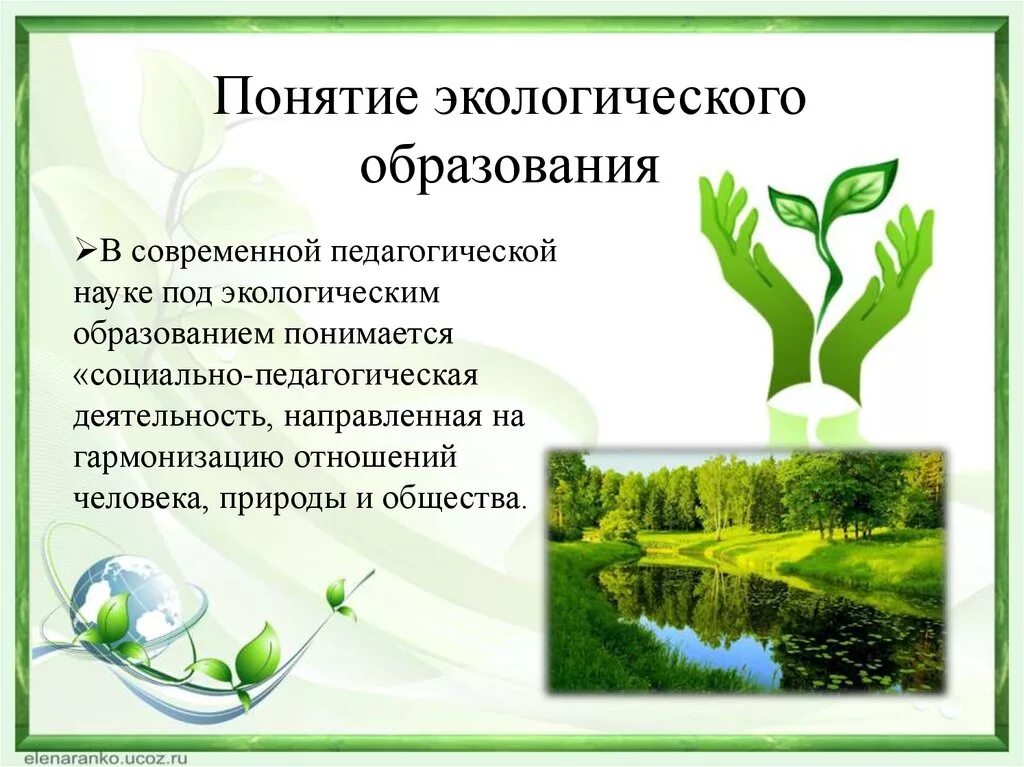 Социально экологическое образование. Экологические понятия. Концепция экологического образования. Понятие экология. Экологизация образования.