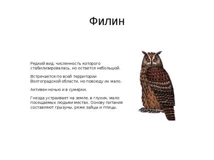 Волгоградская красная книга животные