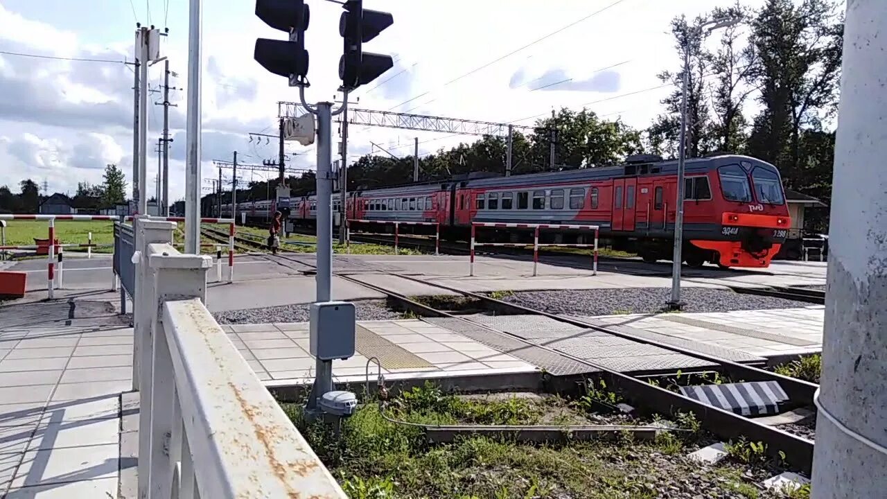 Электрички царское село санкт петербург сегодня. ЖД станция Царское село. Эд4м 0298. Платформа Царское село. Станция Царское село Пушкин.