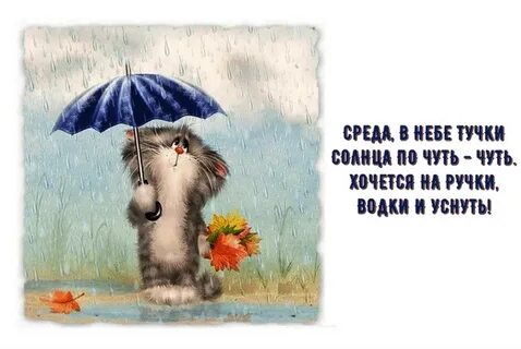 Жизнь найдет выход