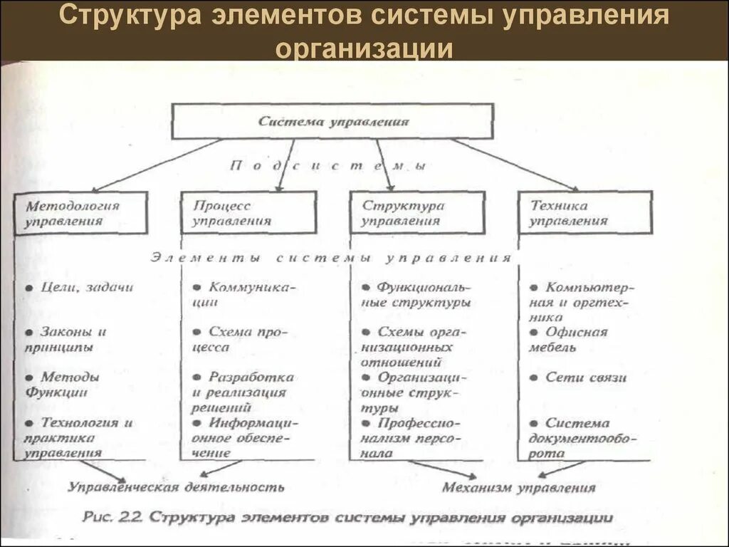 Структура организации ее элементы