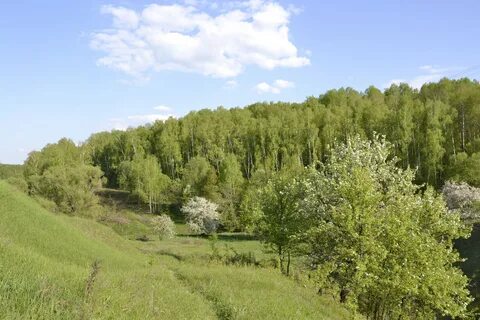 Участок междуречье