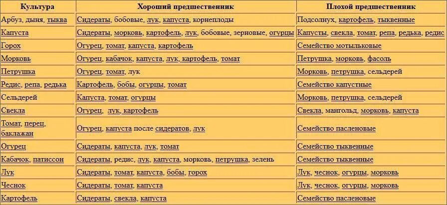 Таблица сидератов для овощных культур. Таблица севооборота овощных культур и сидератов. Таблица сидератов для овощных культур таблица. Предшественники культур. Какой овощ после какого сажать