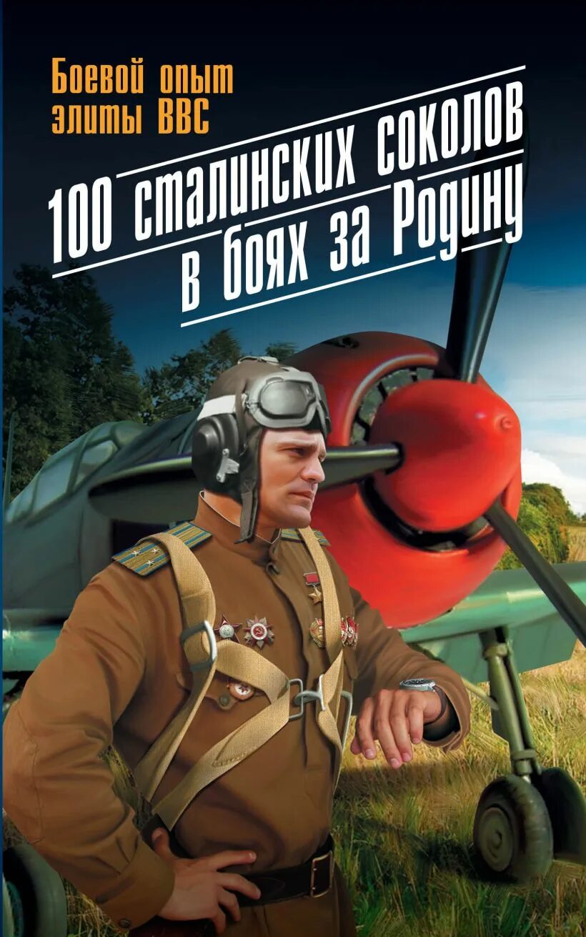 Асы против. Сталинский стол. Сталинские Соколы. Сокол на тувинском. Сталинские Соколы книга.