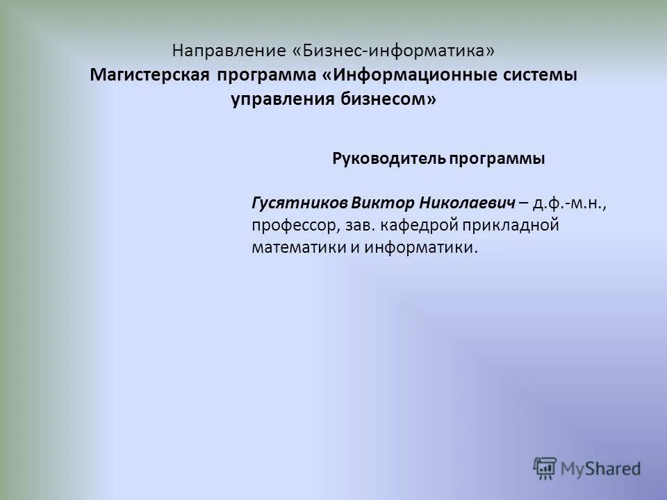 Направление бизнес информатика