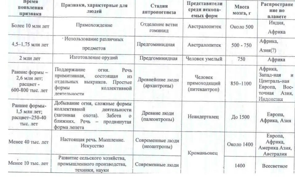 Основные этапы эволюции человека таблица австралопитек. Таблица по биологии происхождение человека Антропогенез. Стадия антропогенеза таблица по биологии 9. Таблица основных стадий антропогенеза.