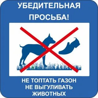 Просьба животный