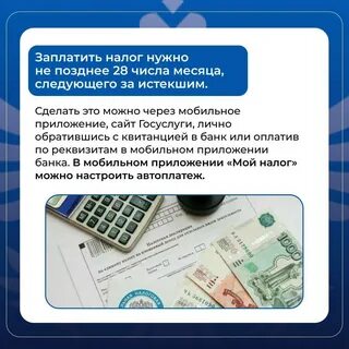 Почему возникли налоги