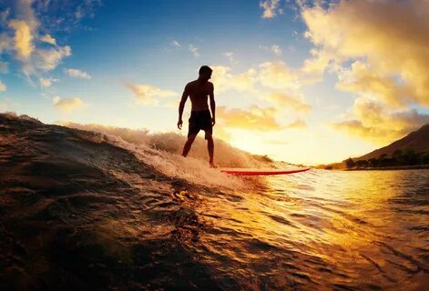 Surfer
