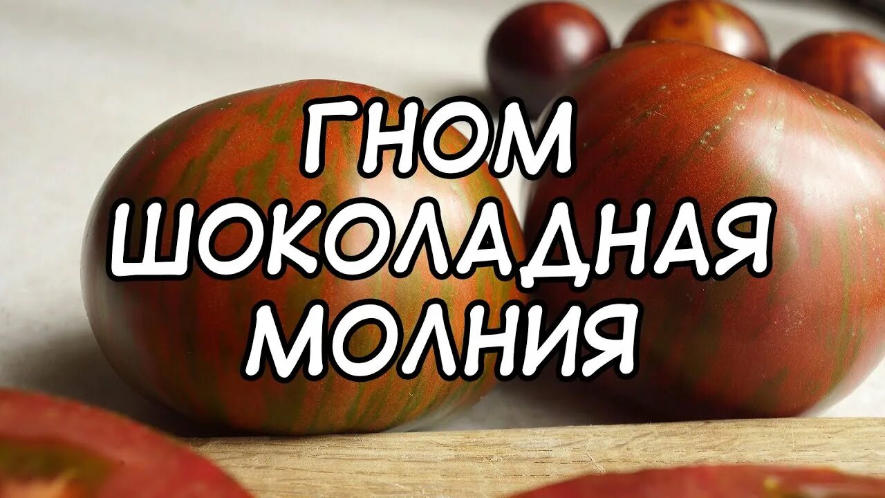 Томат шоколадный гном. Томат шоколадная молния. Гном шоколадная молния. Томатный Гном шоколадная молния. Помидор шоколадная молния Гном.