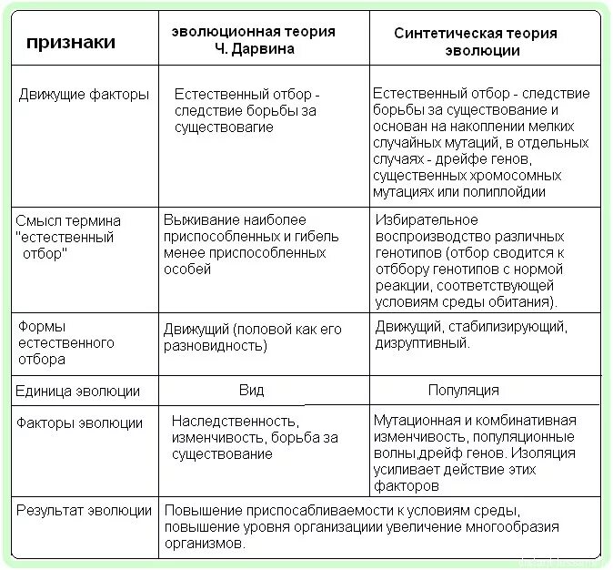 Запишите положение синтетической теории эволюции. Сравнение эволюции по дарвину и стэ. синтетическая теория эволюции егэ теория.