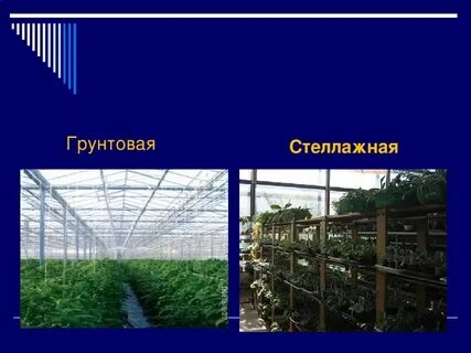 Грунтовая 5