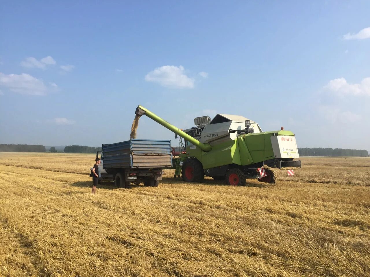 сельское хозяйство при петре 1. урожай 19. урожай 19. сельское хозяйство российской империи в 19 веке. урожай 19.