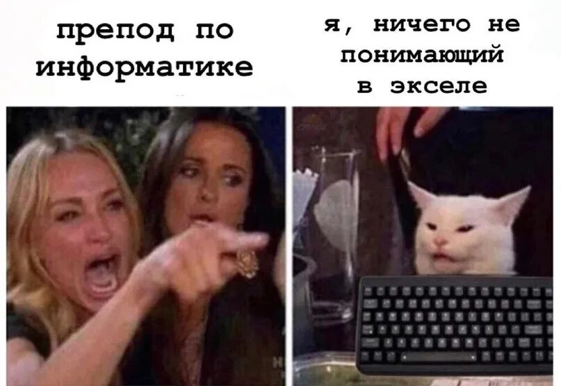 Кот из мема с девушками. Девушки орут на кота. мем с женщиной и котом. мем девушка кричит на кота. мемы с кричащей девушкой.