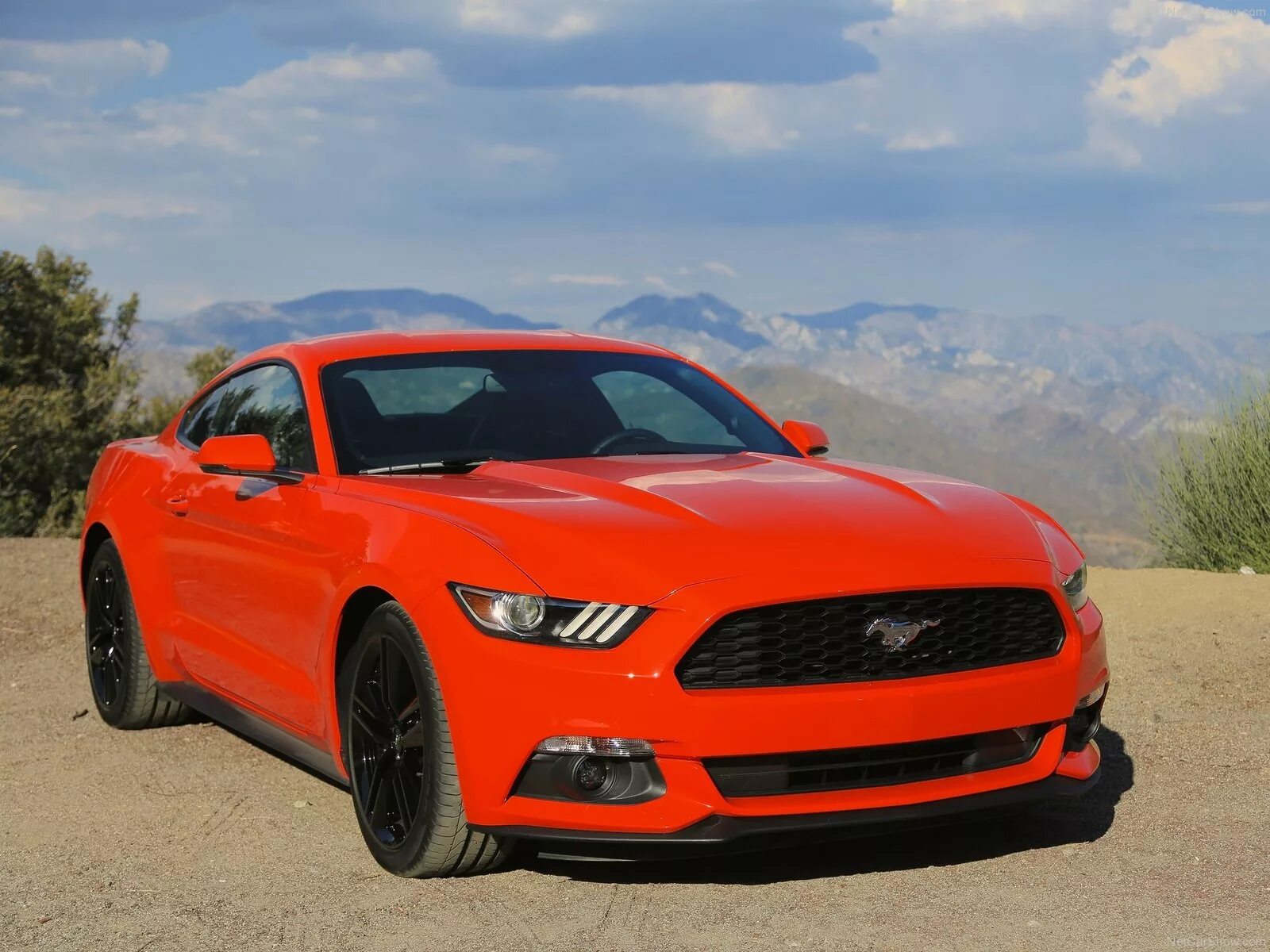 Как выглядит мустанг. Форд Мустанг 2015. Ford Mustang 2015. Ford Mustang gt 2015. Форд Мустанг 208.