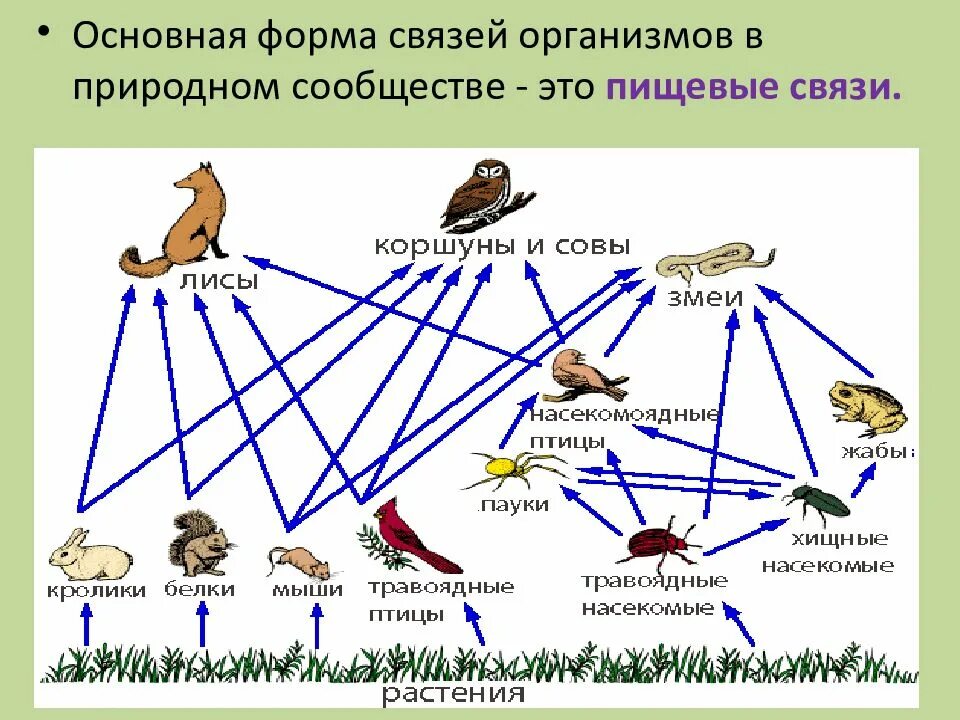 Продуценты тест