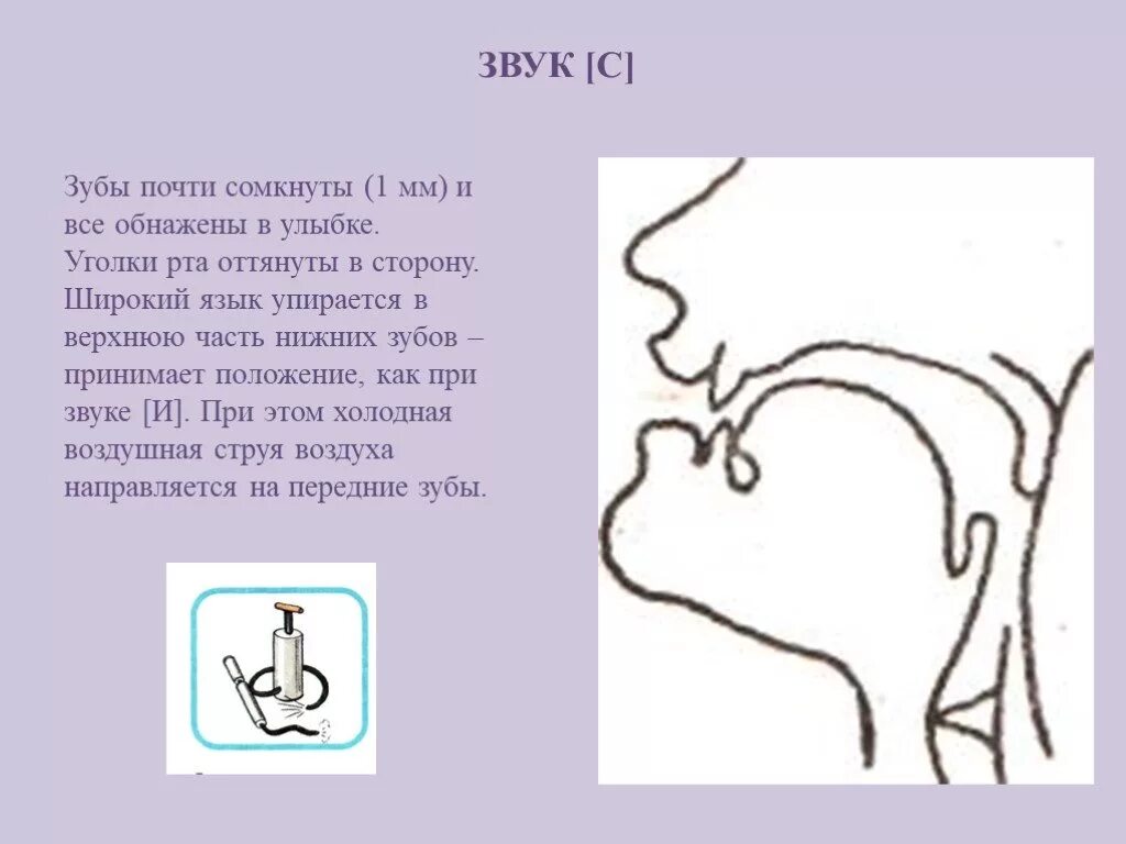 Язык и зубы звуки. Профиль звука с. Характеристика звука з. Артикуляция звука з. Профиль звука з.