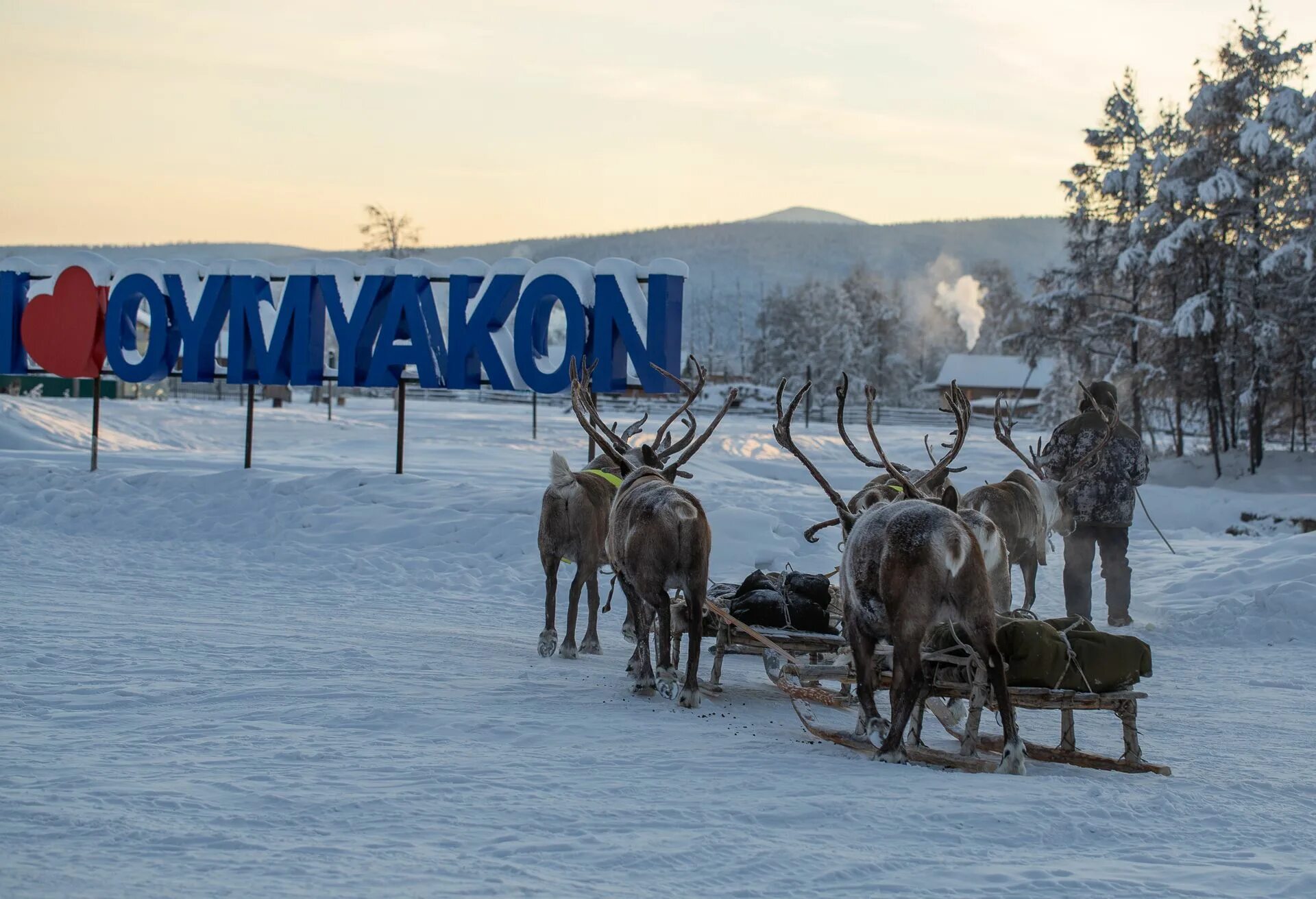 Полюс холода Оймякон Якутия. Памятник Оймякон полюс холода. Якутия олени Оймякон. Полюс холода Оймякон летом. Пермь якутия