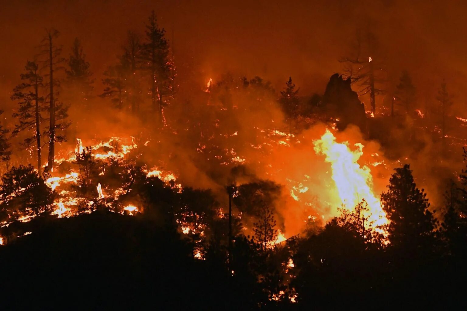 Жара сгорела. Лесные пожары в Канаде. Лесной пожар в Калифорнии в 1977 году. Канадский Лесной пожар. Горящие леса в Канаде.