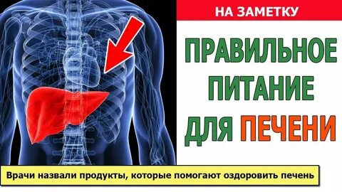 Лечим печень в москве