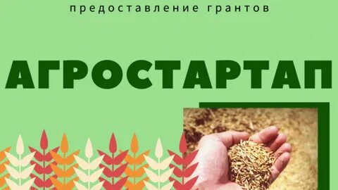Программа агростартап
