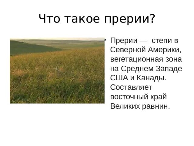 Географическое положение степи в северной америке. Прерии. Степи и прерии. Что такое прерии кратко. Растительность зоны степей в Северной Америке.