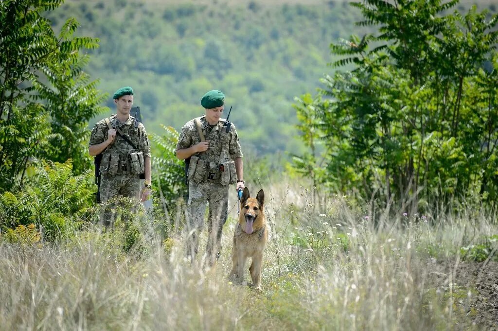 Пограничник пробуждение. Пограничники России. Пограничные войска. Российские пограничники. Пограничник на границе.