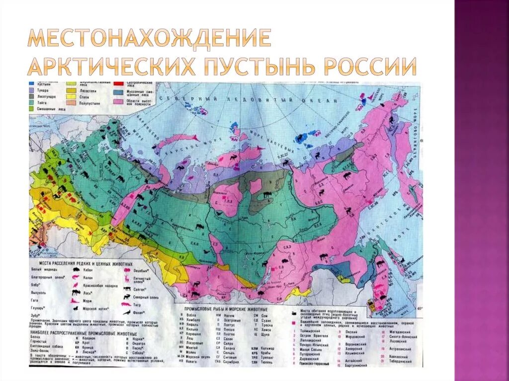 Какая зона располагается в самой северной части. Природные зоны России арктические пустыни. Зона арктических пустынь на карте природных зон. Арктическая пустыня природная зона на карте. Зона арктических пустынь на карте России.