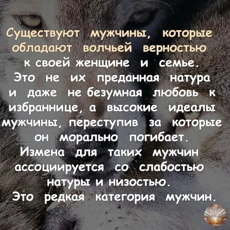 Статусы про верность. Стихи о верности и преданности. Стихи о любви и верности. Статус про верность и преданность.