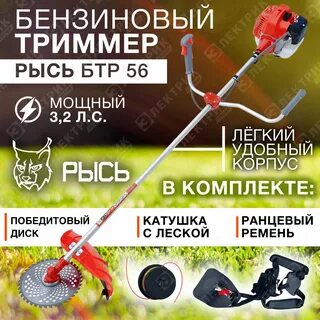 Рысь бтр 56