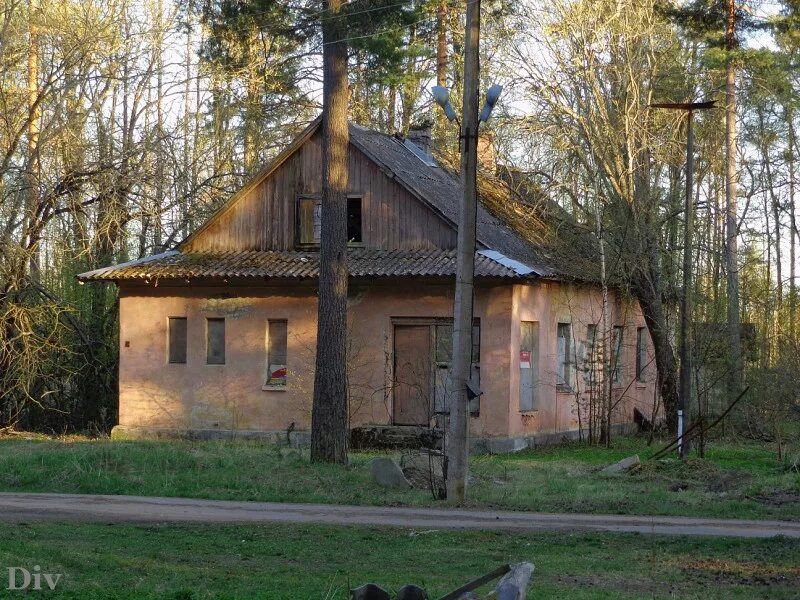 Дол парус ленинградская область. Дол Алые паруса заброшенный лагерь. Пионерский лагерь Алые паруса Ленинградская область. Пионерский лагерь Алые паруса Звенигород. Алые паруса лагерь Вырица.