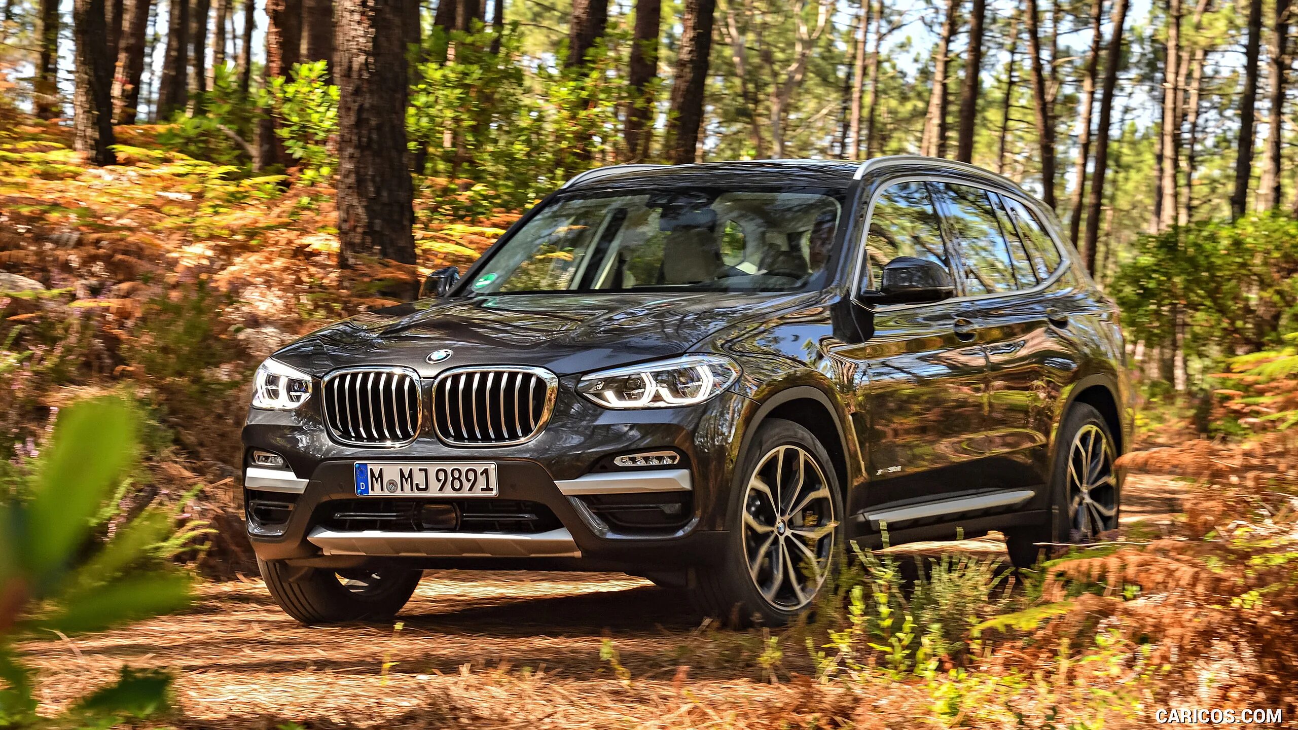 Бмв х3 технические. BMW x3. BMW x3 2018. BMW x3 Grey. БМВ x3 2021.