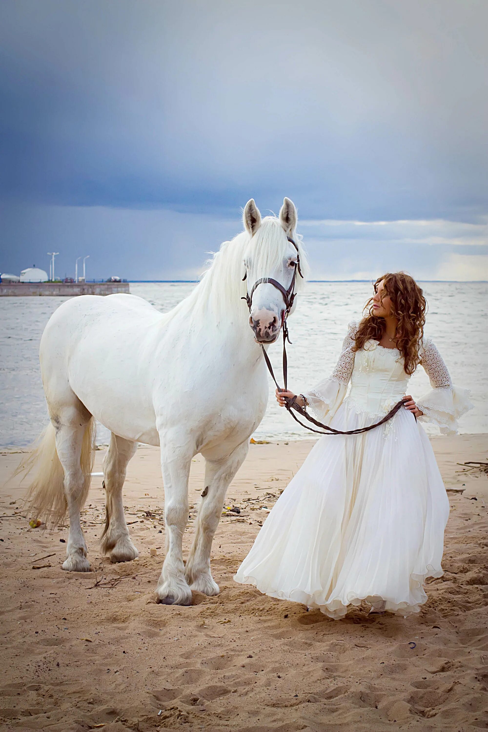 там на коне. там на коне. шебуняев художник донские казачки. там на коне. всадник с лошадью.