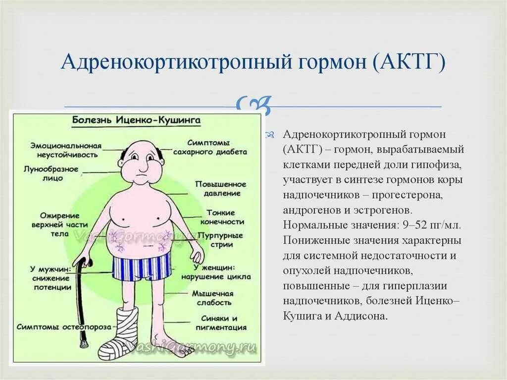 Химическое строение адренокортикотропного гормона. Адренокортикотропный гормон структура. АКТГ функции гормона. АКТГ биохимические функции. Гормональные нарушения симптомы