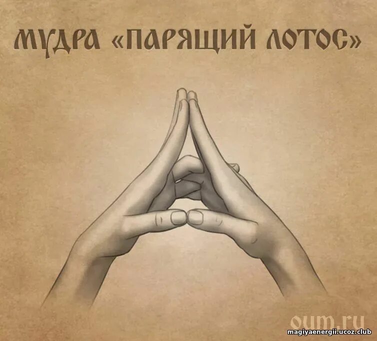 мудра лотос от женских болезней. йога для пальцев рук исцеляющие мудры. парящий лотос. мудры йога парящий лотос. мудра парящий лотос техника.