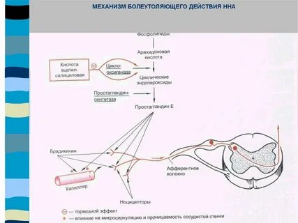 Механизм обезболивания