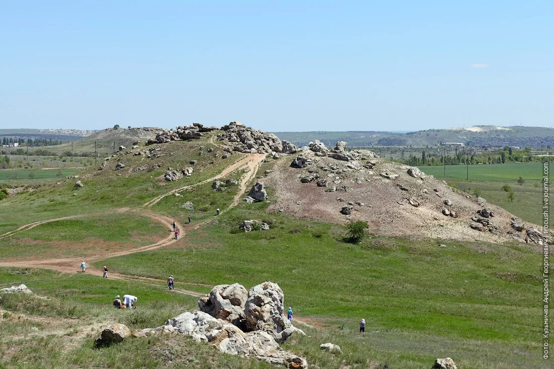 Камышинские горы уши и лоб камышинский район. Уши камышин. Камышинские горы уши и лоб камышинский район. Горы уши волгоградская область. Горы уши волгоградская область.