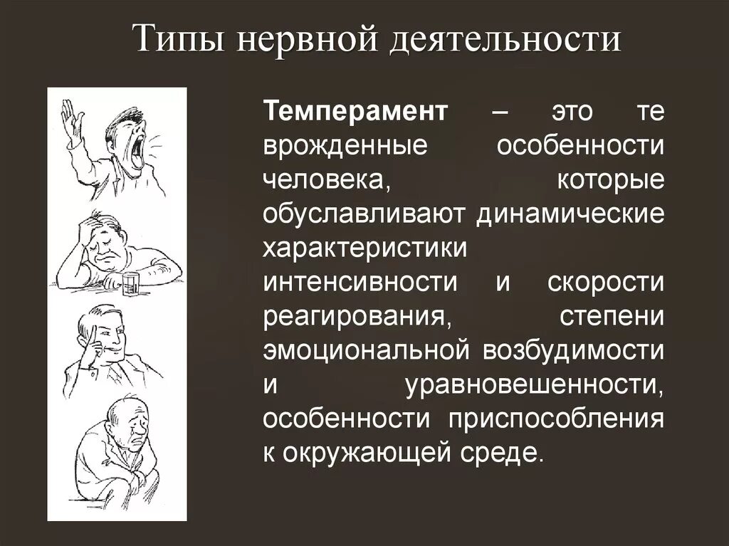 Что лежит в основе нервной деятельности человека. Типы высшей нервной деятельности человека холерик. Тип ВНД сангвиник. Типы высшей нервной деятельности ВНД. Характеристика типов высшей нервной деятельности человека.