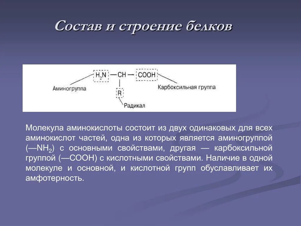 Строение белков и аминокислот. Состав и строение белков. Аминокислоты и их структура. Белки строение. Карбоксильная группа свойства