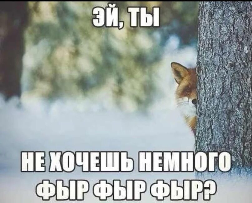 Приколы о политике. Я немного волнуюсь. Шутки про аналитику. Немного волновать. Грустная женщина.