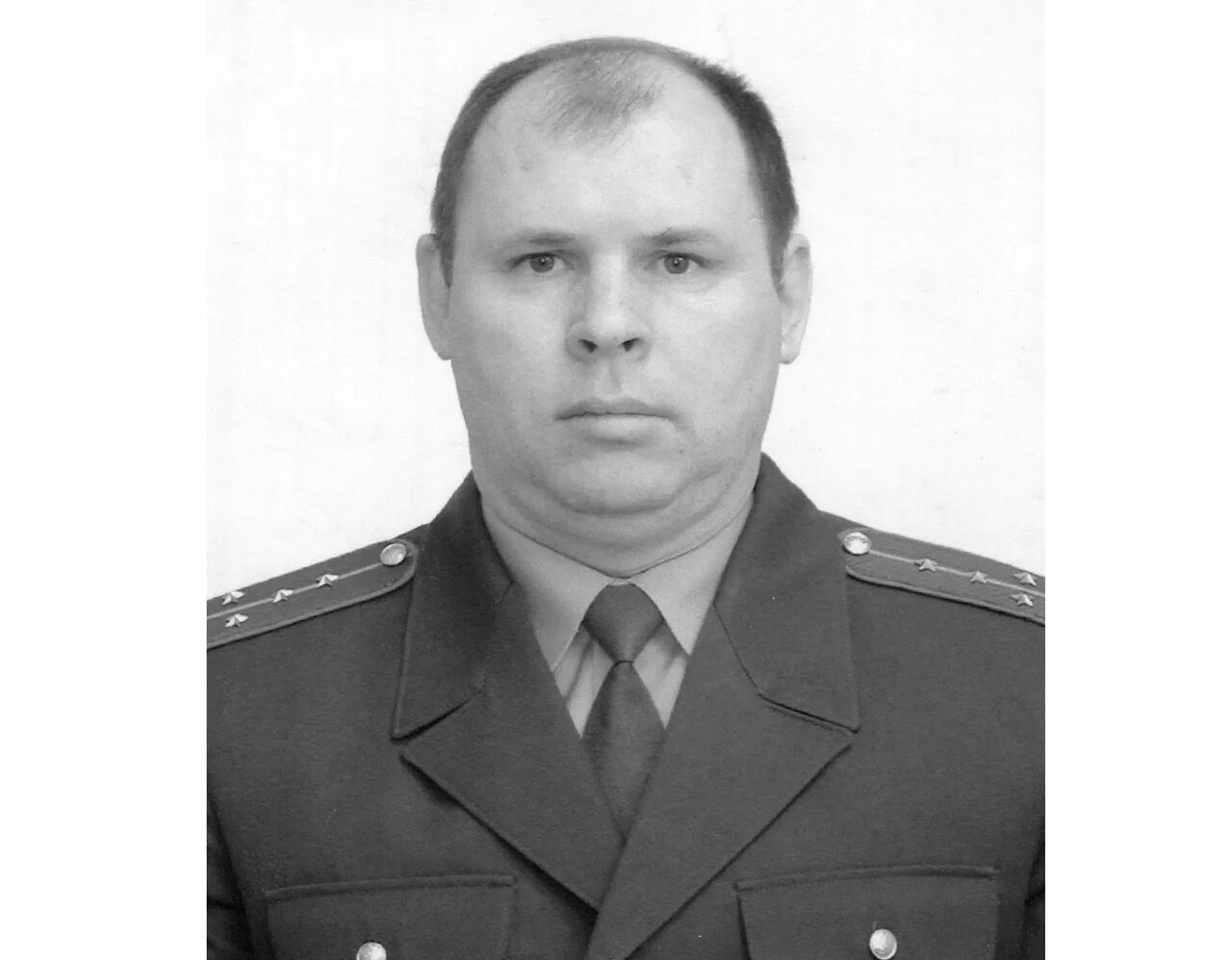 Павлович волков